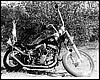 59' Pan/Shovel Suicide Jocky Bobber