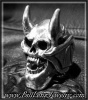 Demon Bat Skull